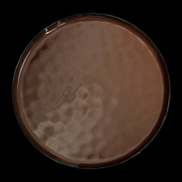 shop_items_catalog_image748300